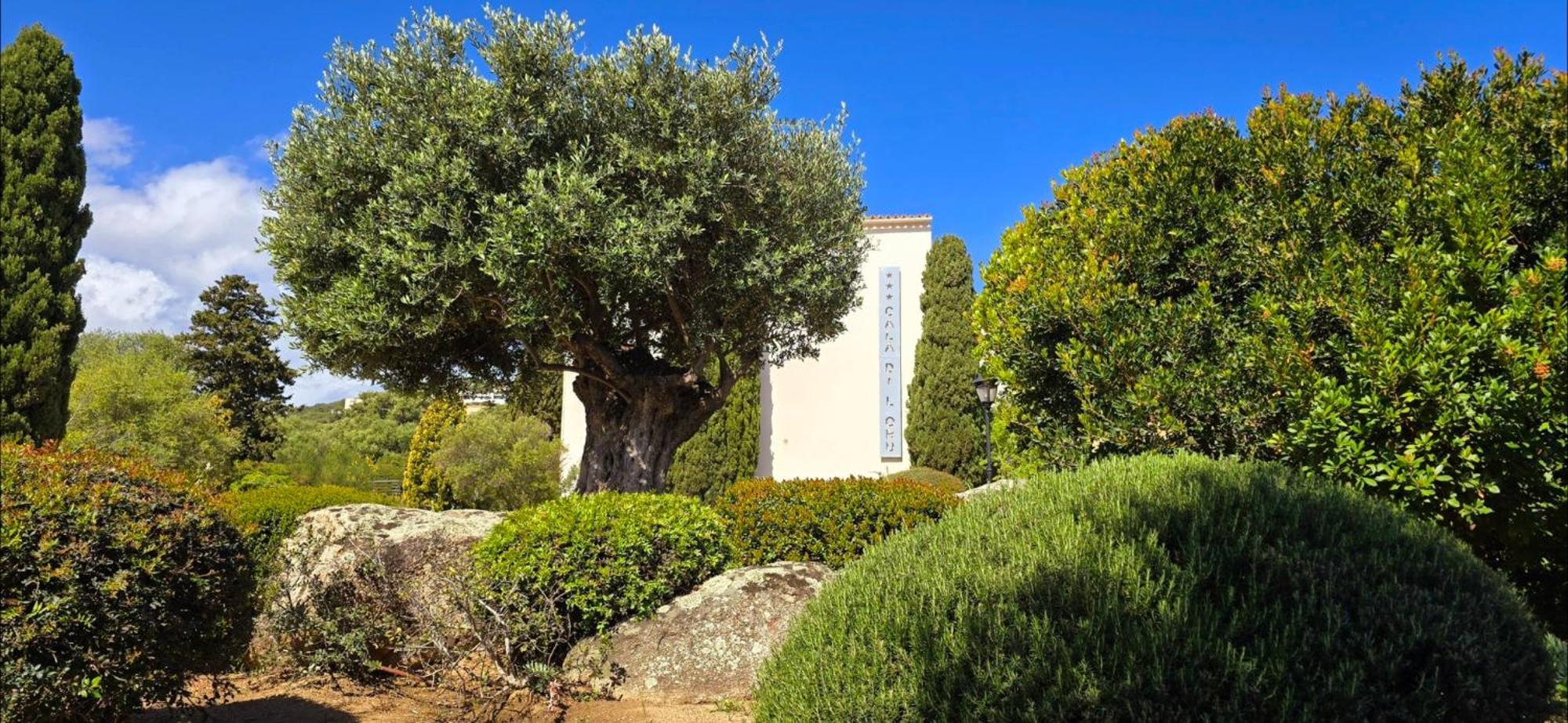 Hotel Cala Di L'Oru L'Ile-Rousse  Exterior photo